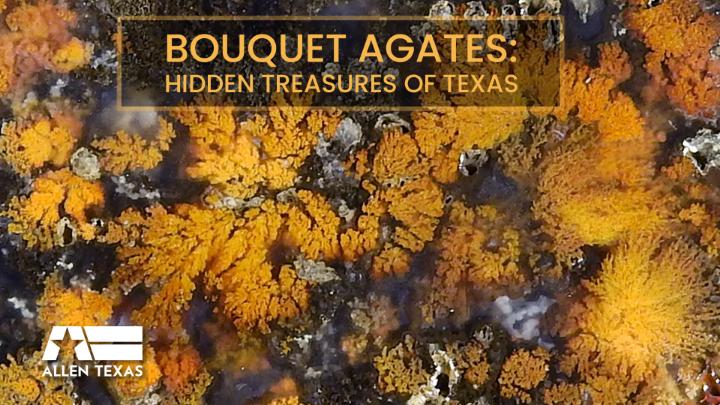Bouquet Agates of Texas image of agates