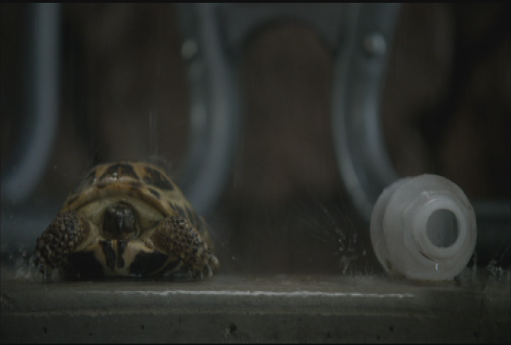 Thumbnail image for Keep Allen Beautiful PSA - "Journey"