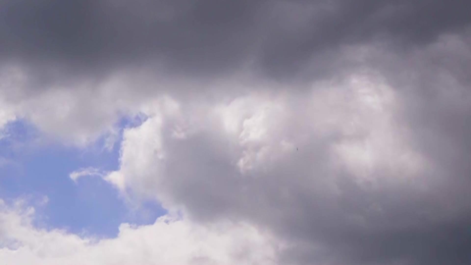 Thumbnail image for Texas Parks & Wildlife #3219